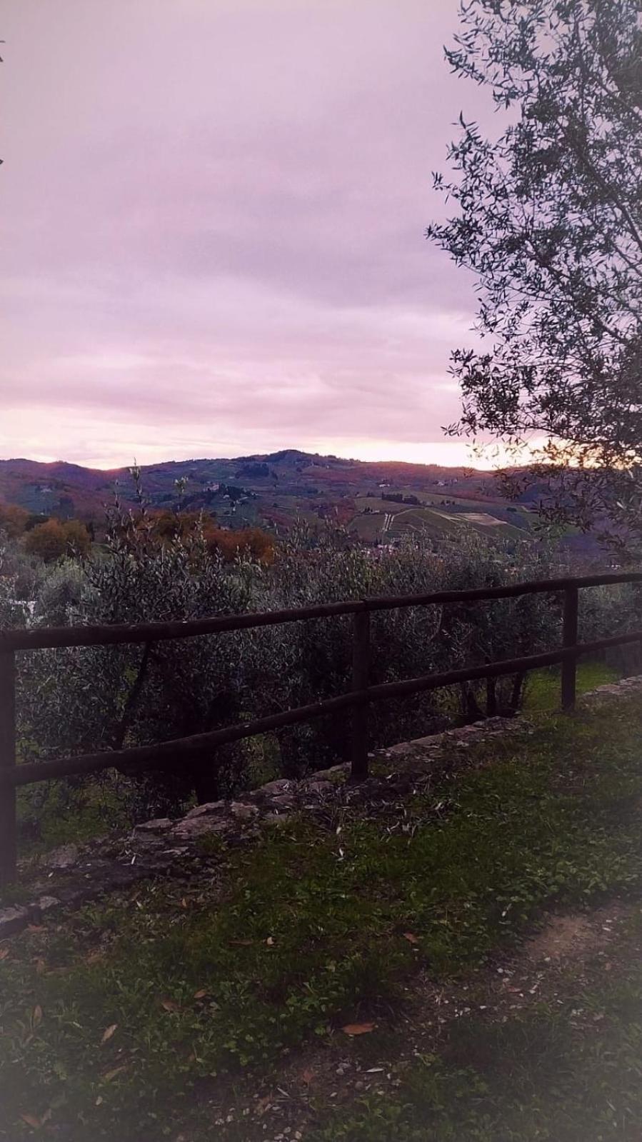 Agriturismo La Camporena เกรเว อิน เคียนตี ภายนอก รูปภาพ