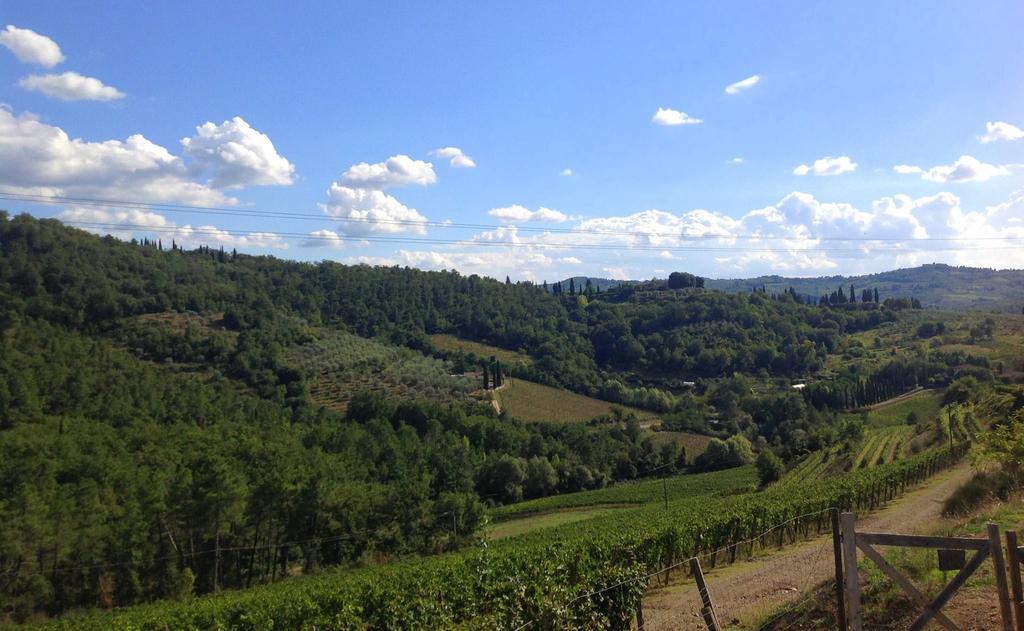 Agriturismo La Camporena เกรเว อิน เคียนตี ภายนอก รูปภาพ